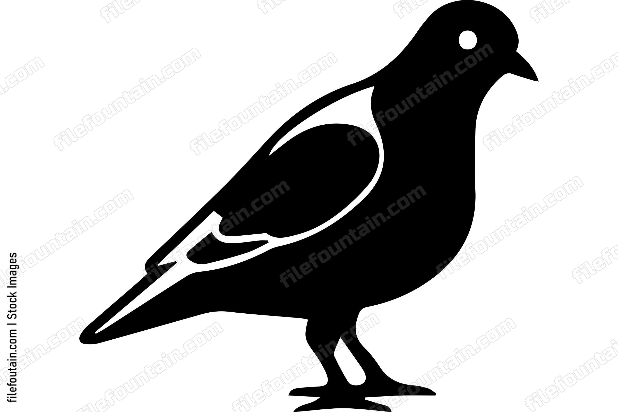 Pigeon