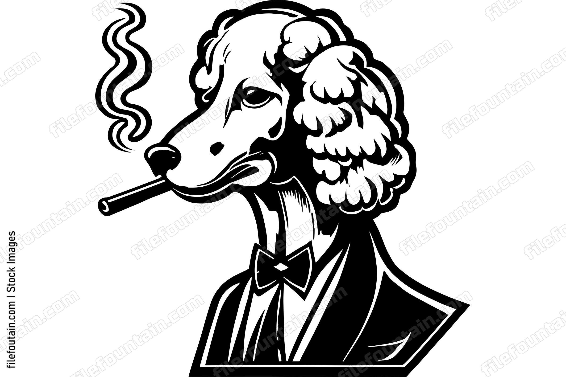 Poodle Smoking A Cigar