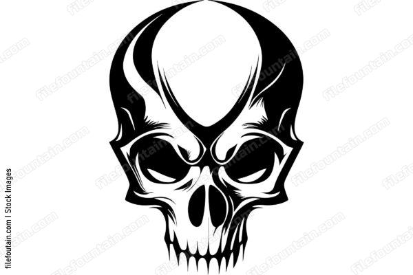 Skull