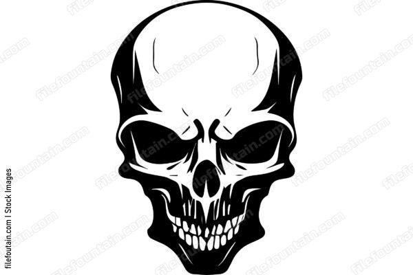 Skull