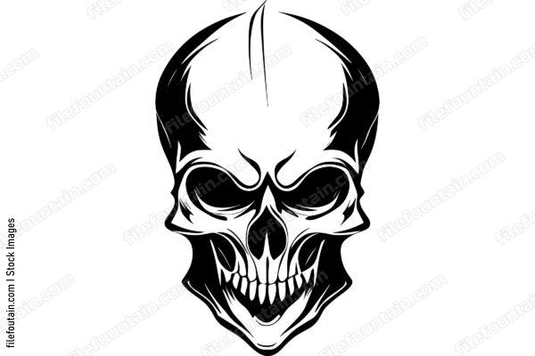 Skull