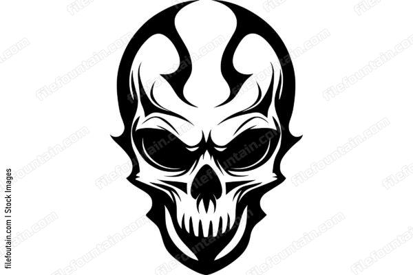 Skull