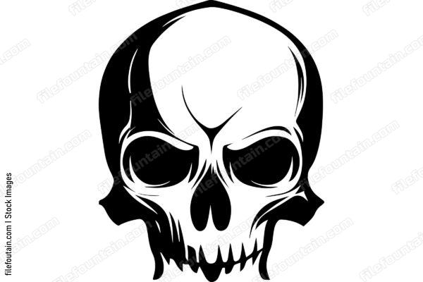 Skull