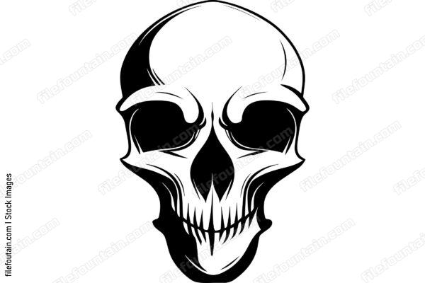 Skull