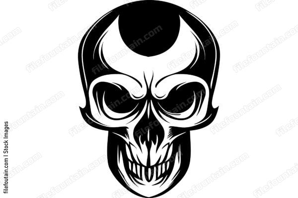 Skull