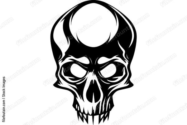 Skull