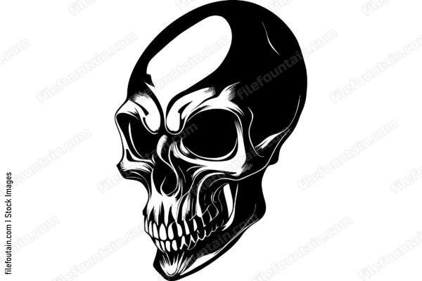 Skull