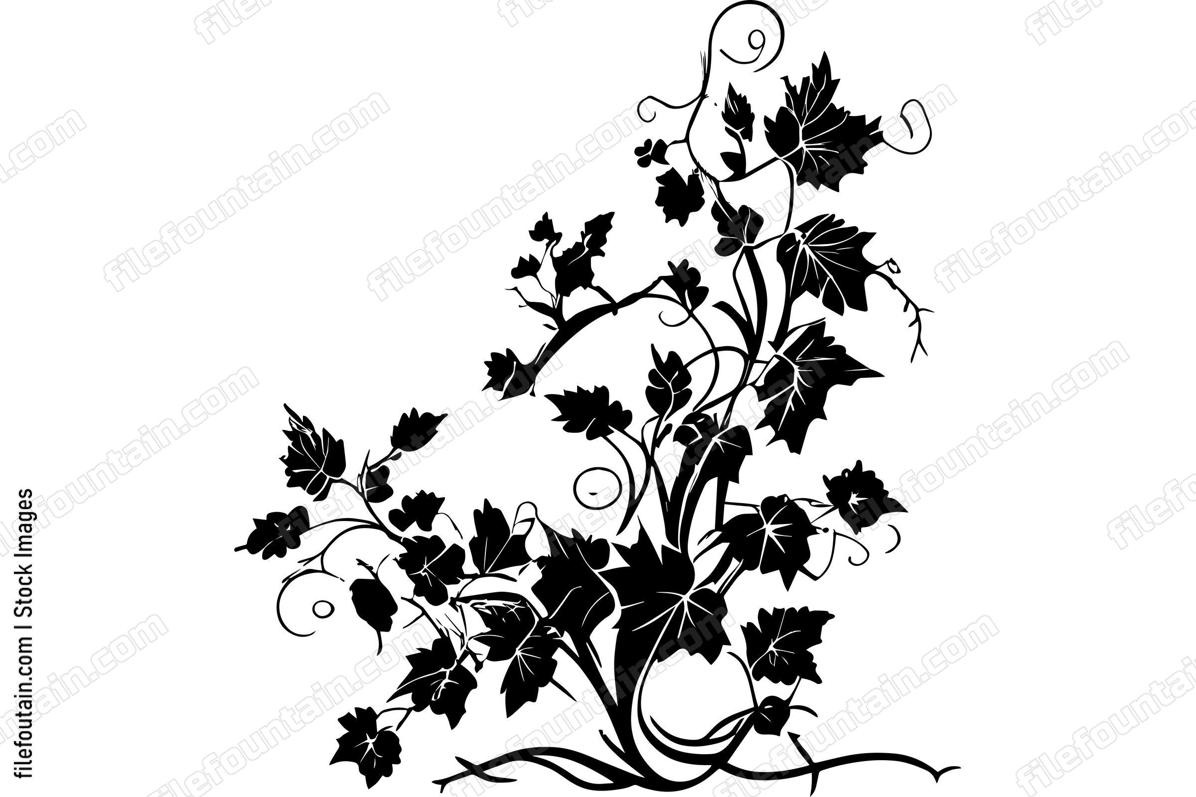 Vines