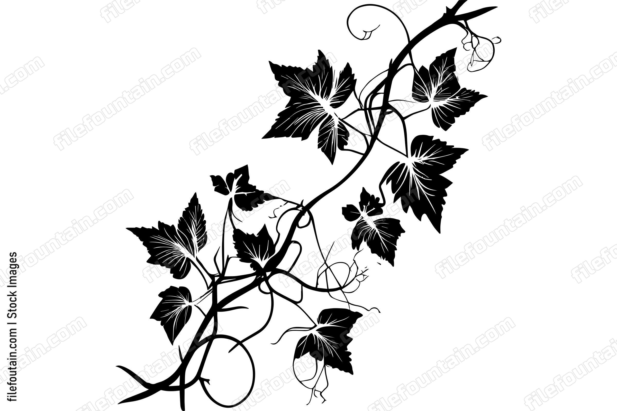 Vines