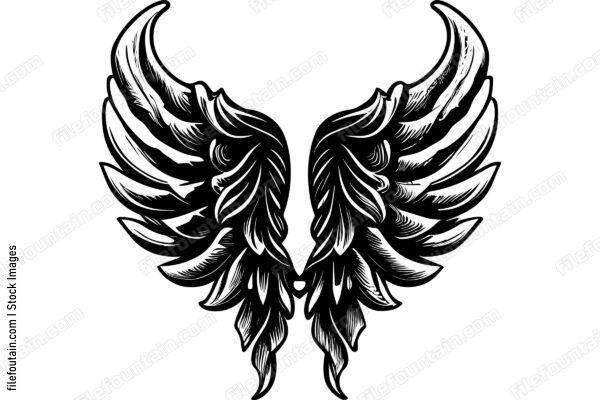Wings