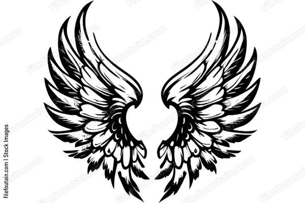 Wings