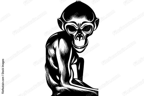 Zombie Monkey