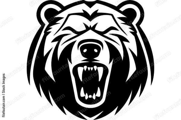 Angry Bear Roaring