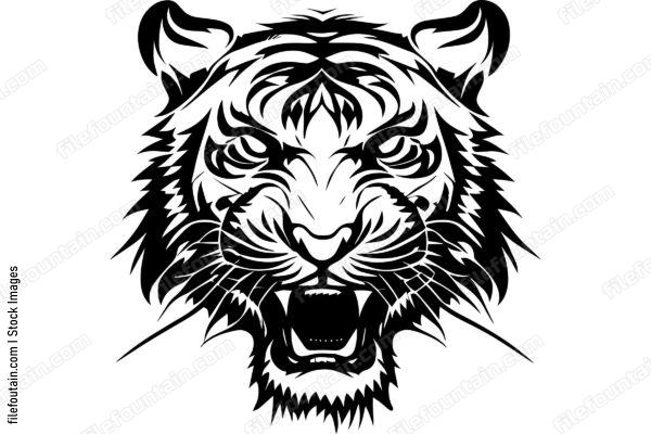 Angry Tiger Roaring