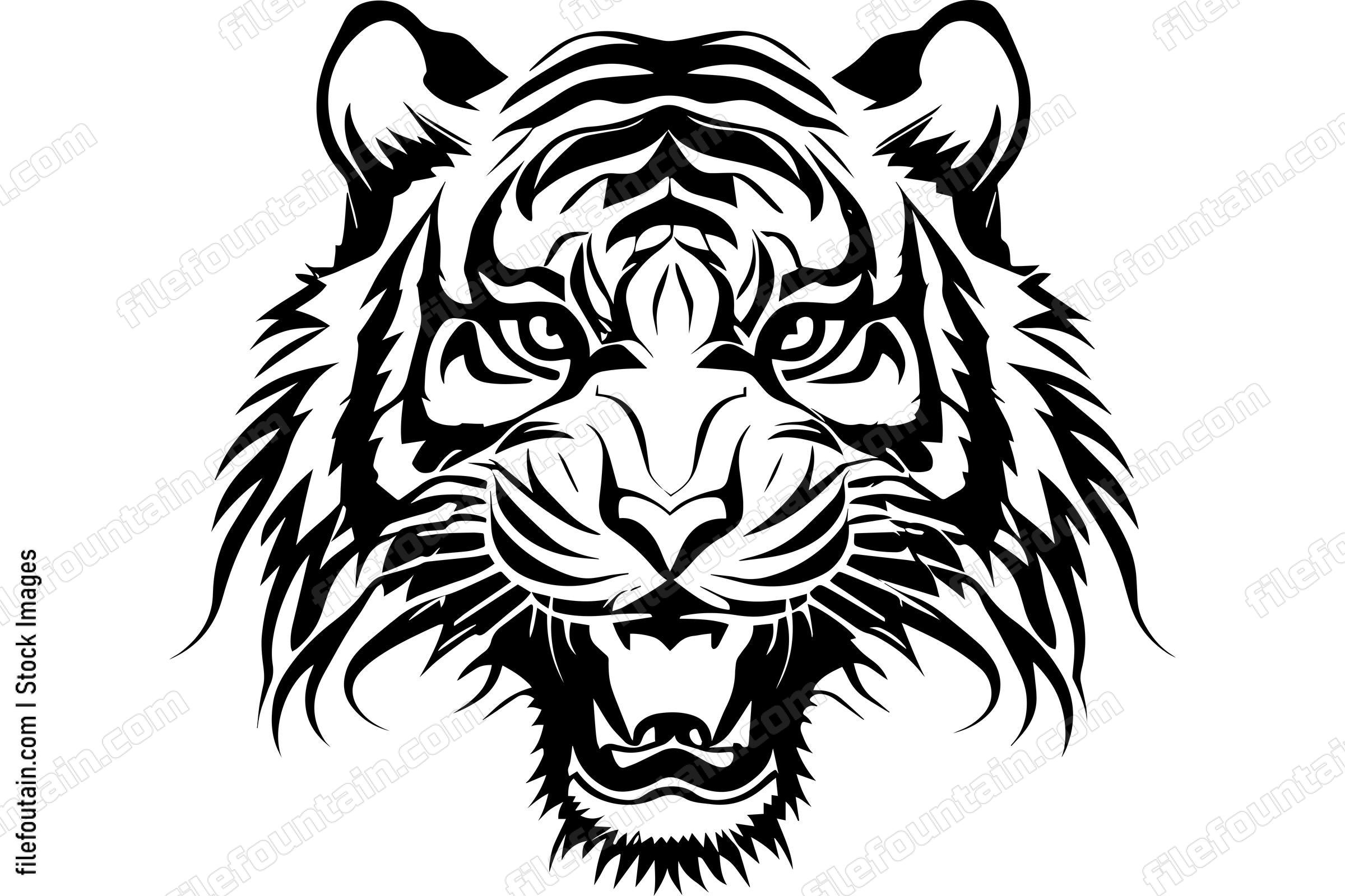 Angry Tiger Roaring