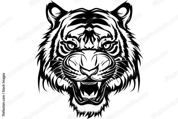 Angry Tiger Roaring