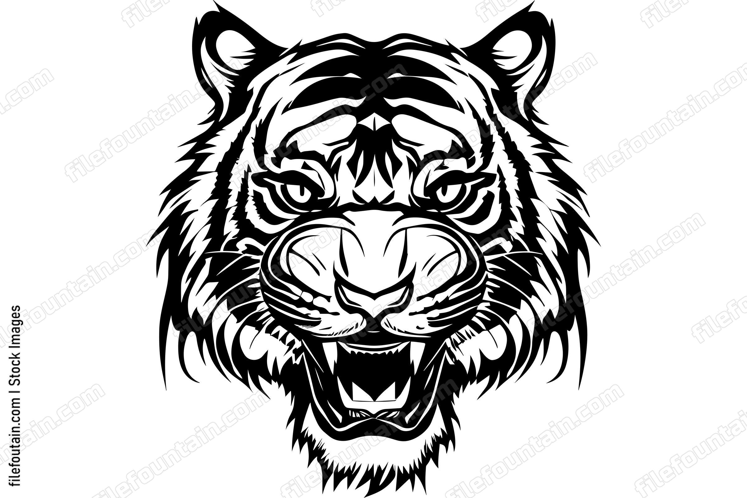 Angry Tiger Roaring