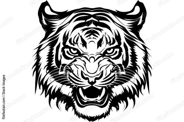 Angry Tiger Roaring