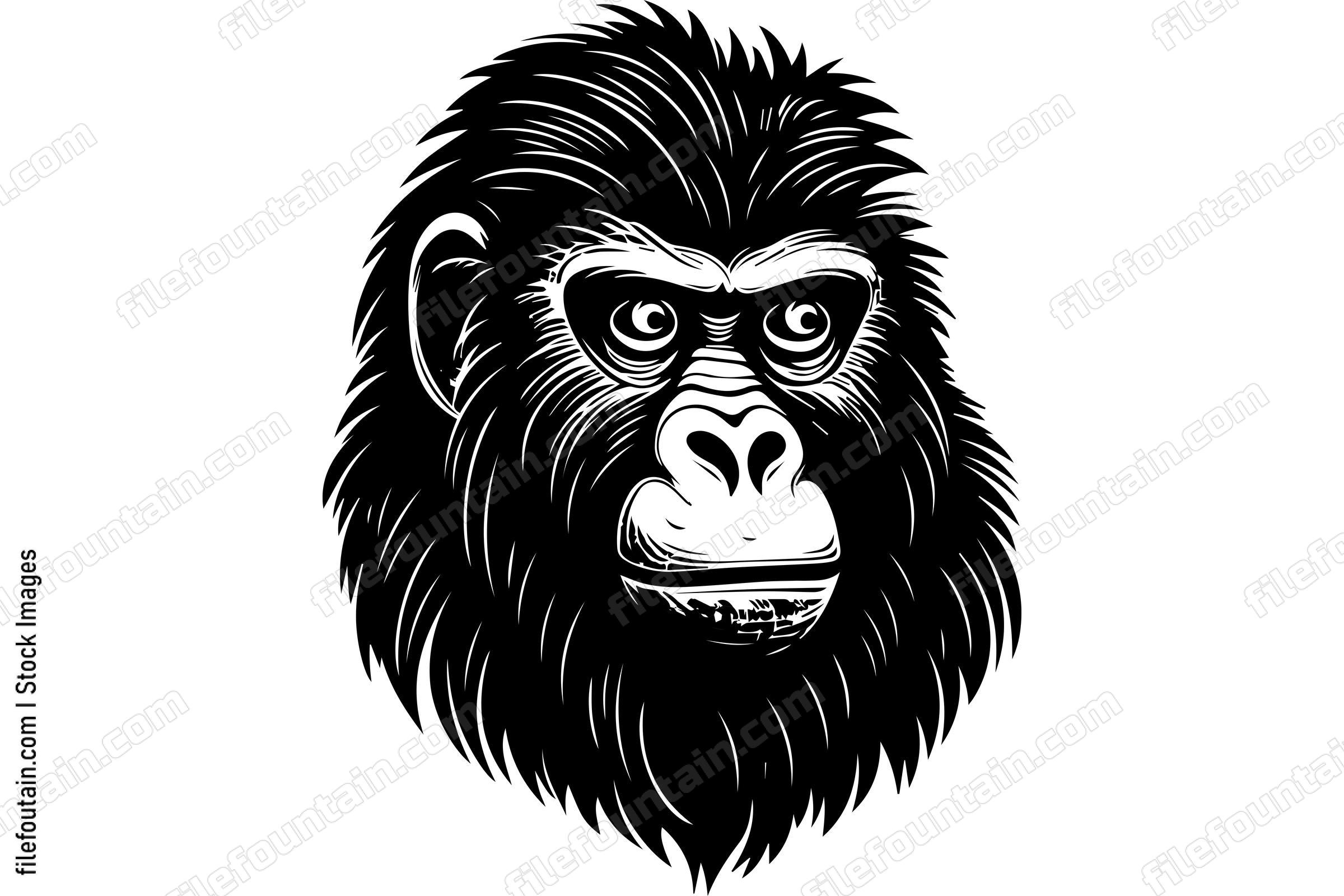 Ape