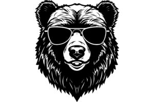 Bear With Sunglasses