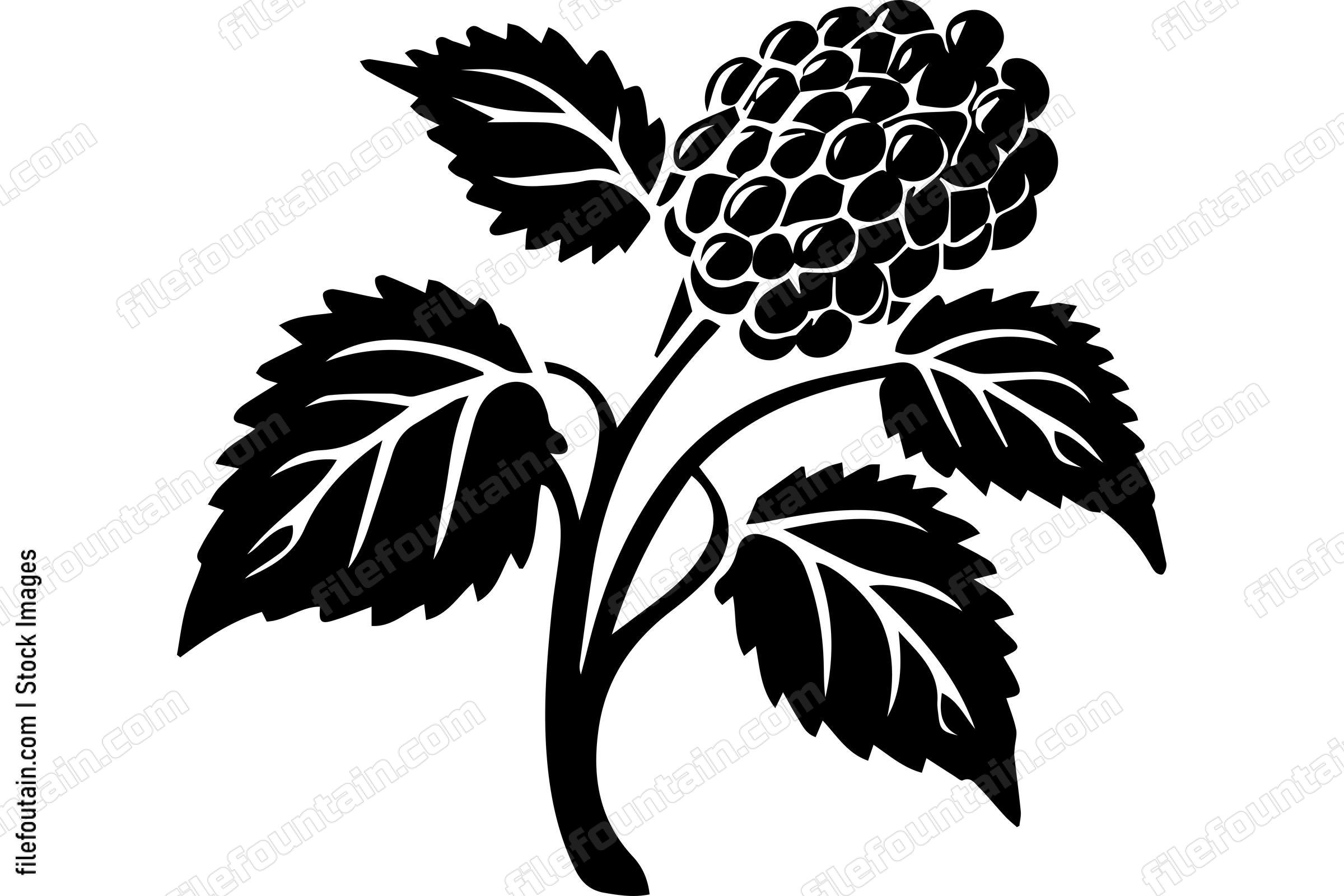 Berry