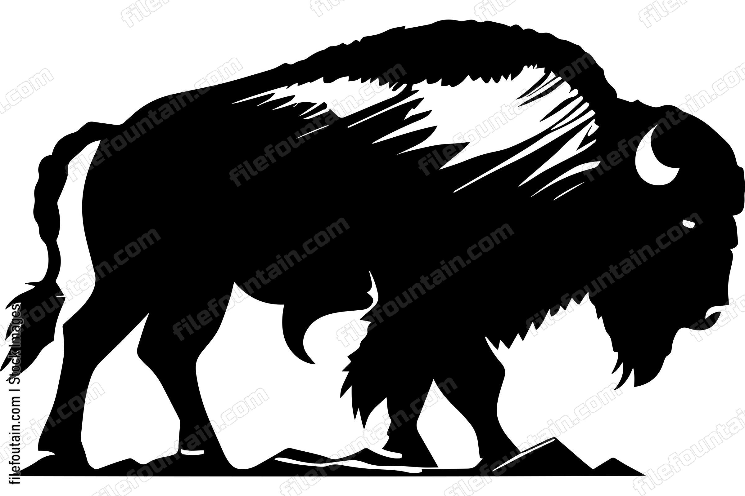 Bison