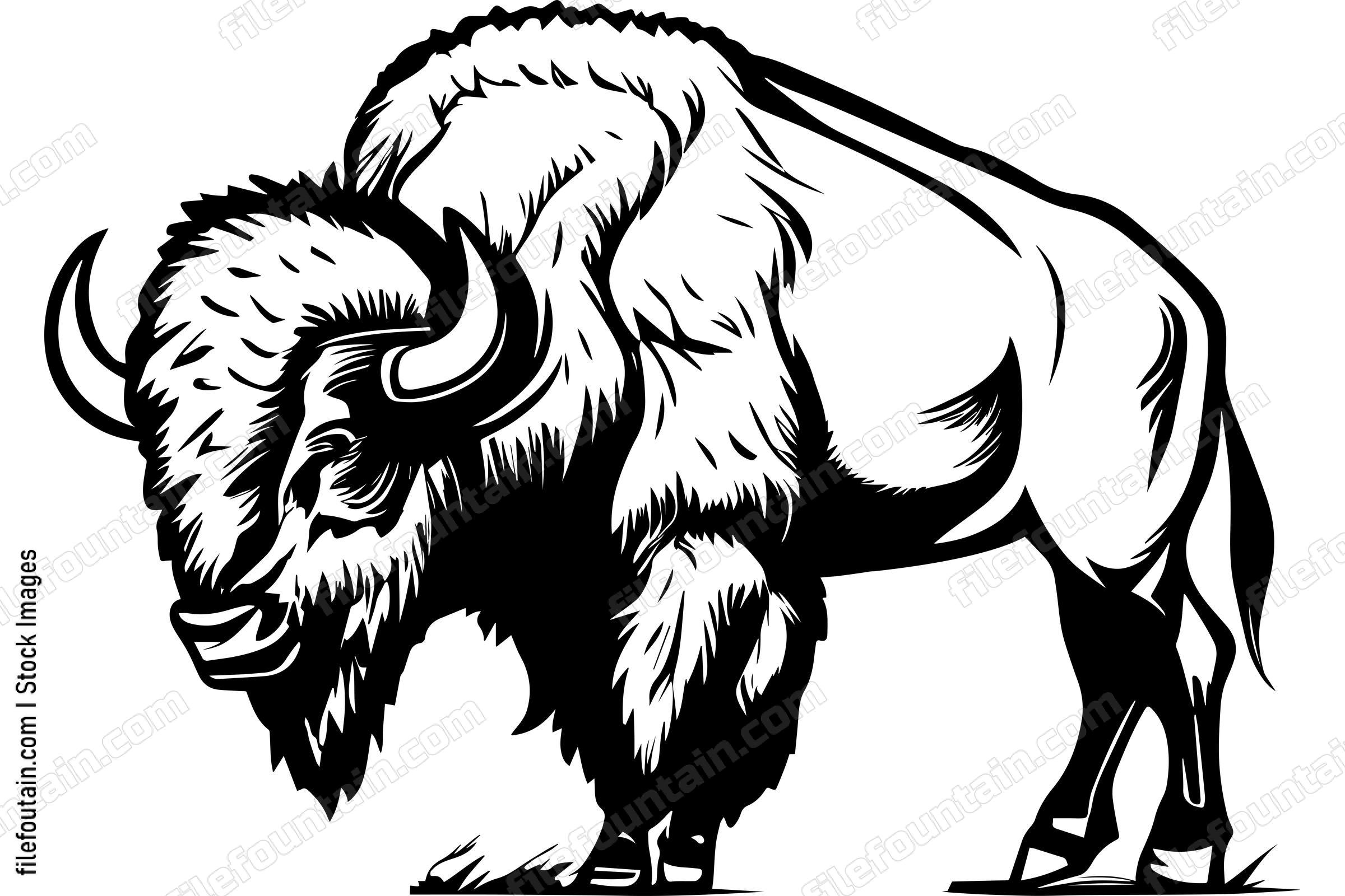 Bison