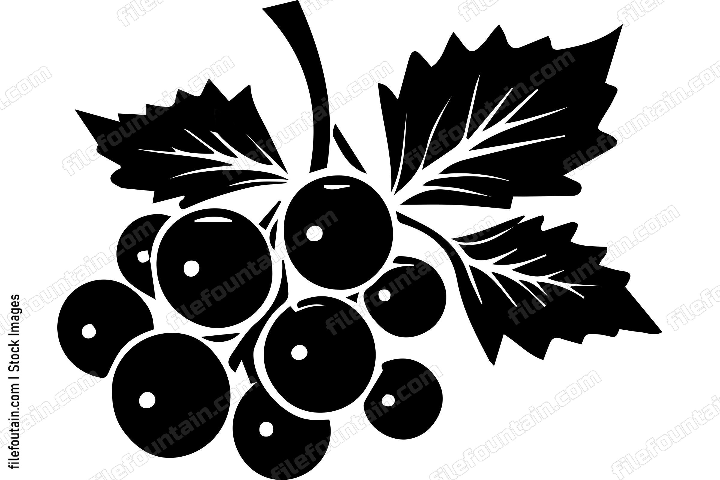 Black Currant