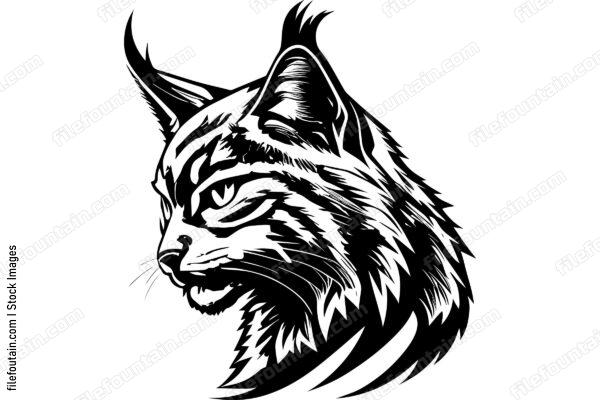 Bobcat
