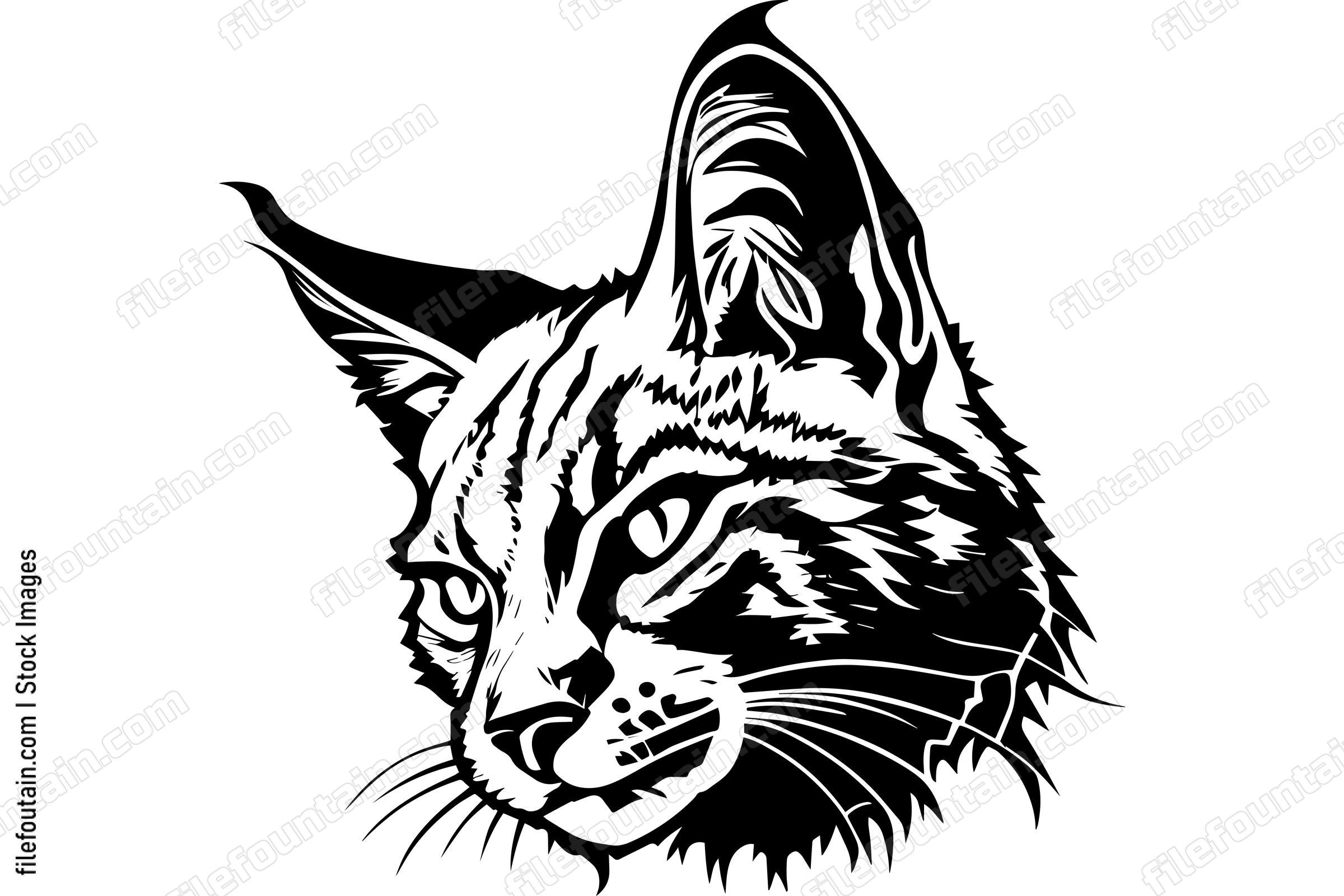 Bobcat