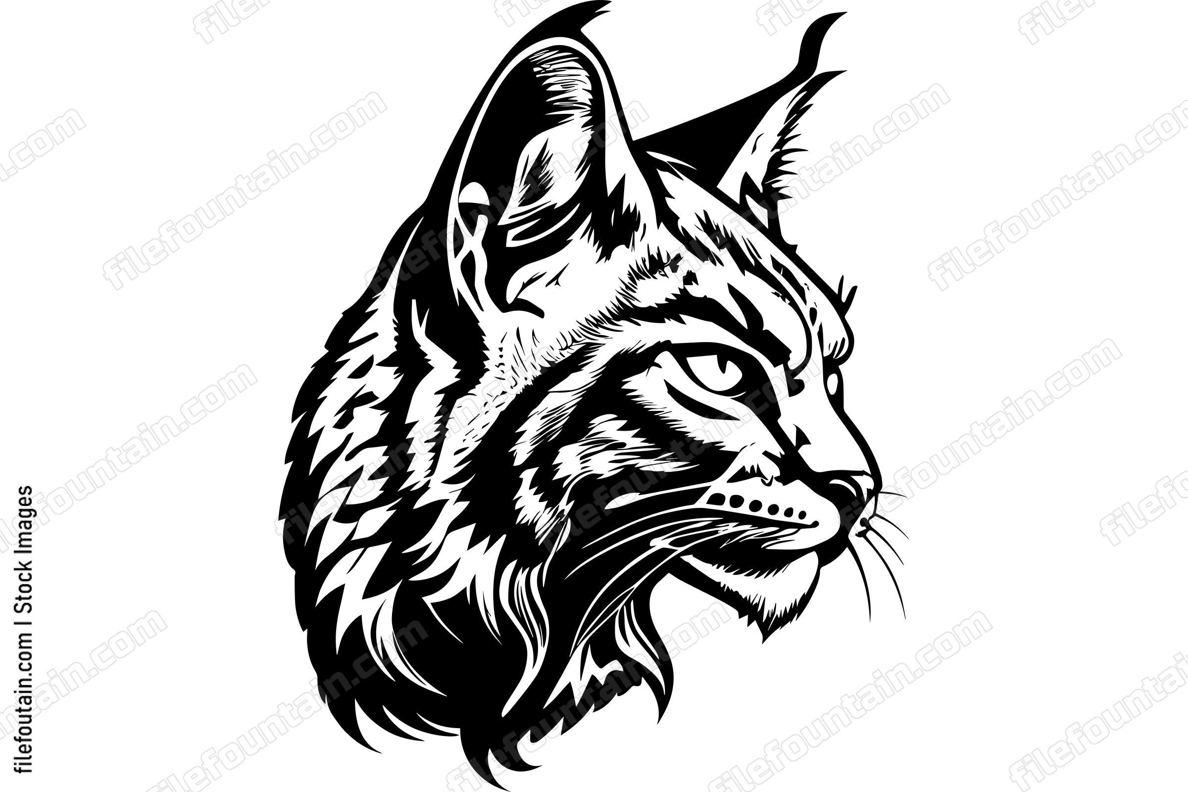 Bobcat