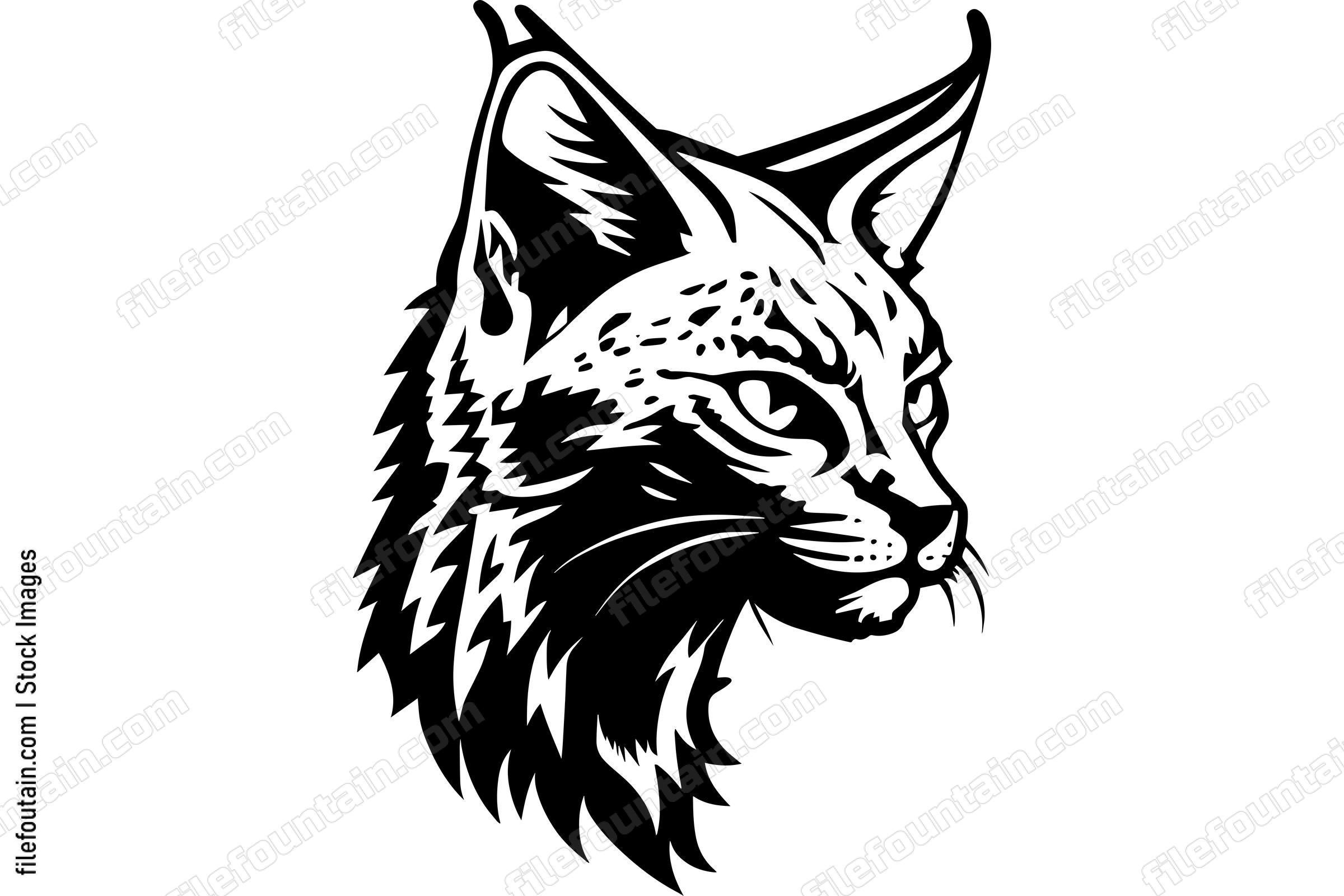 Bobcat