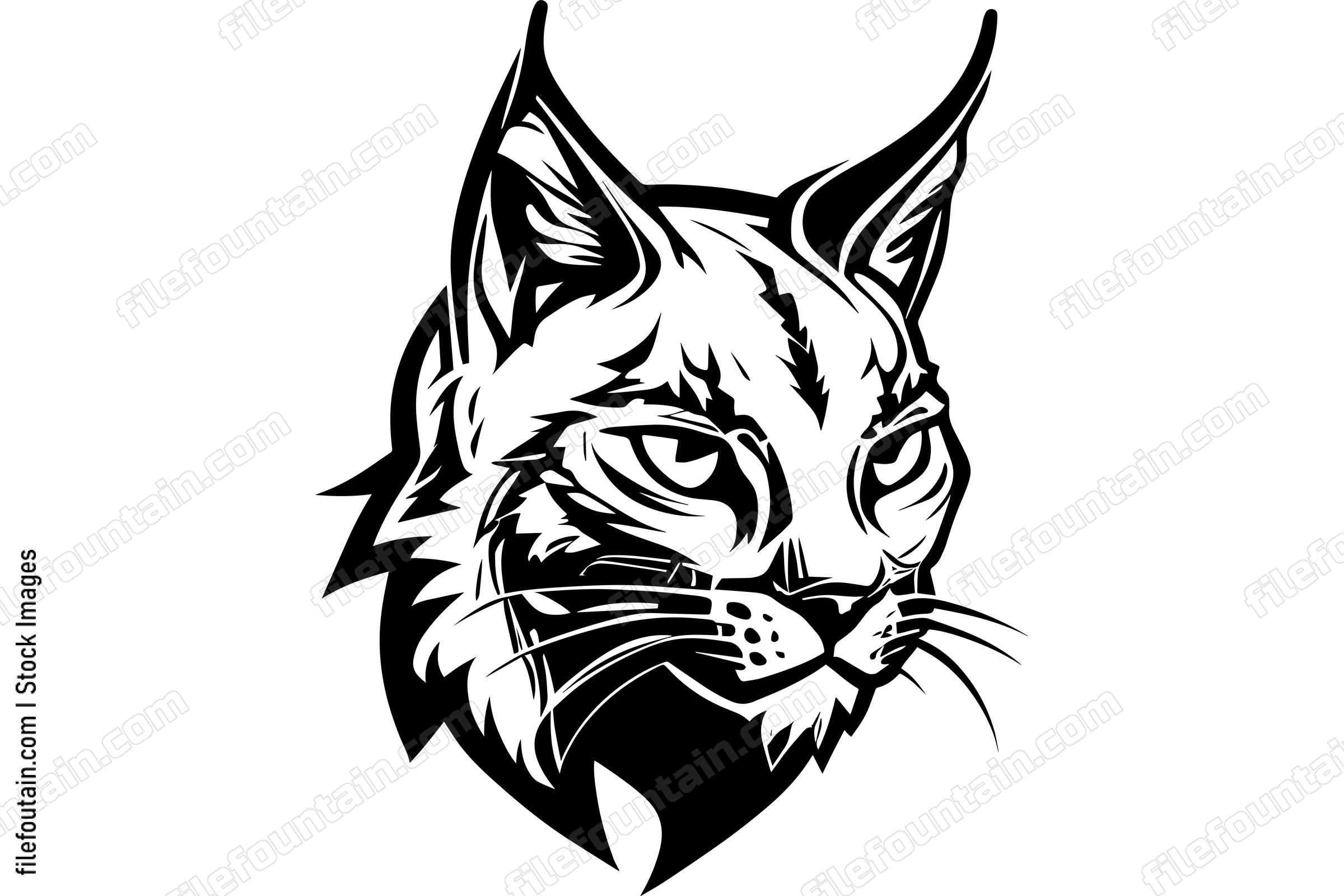 Bobcat