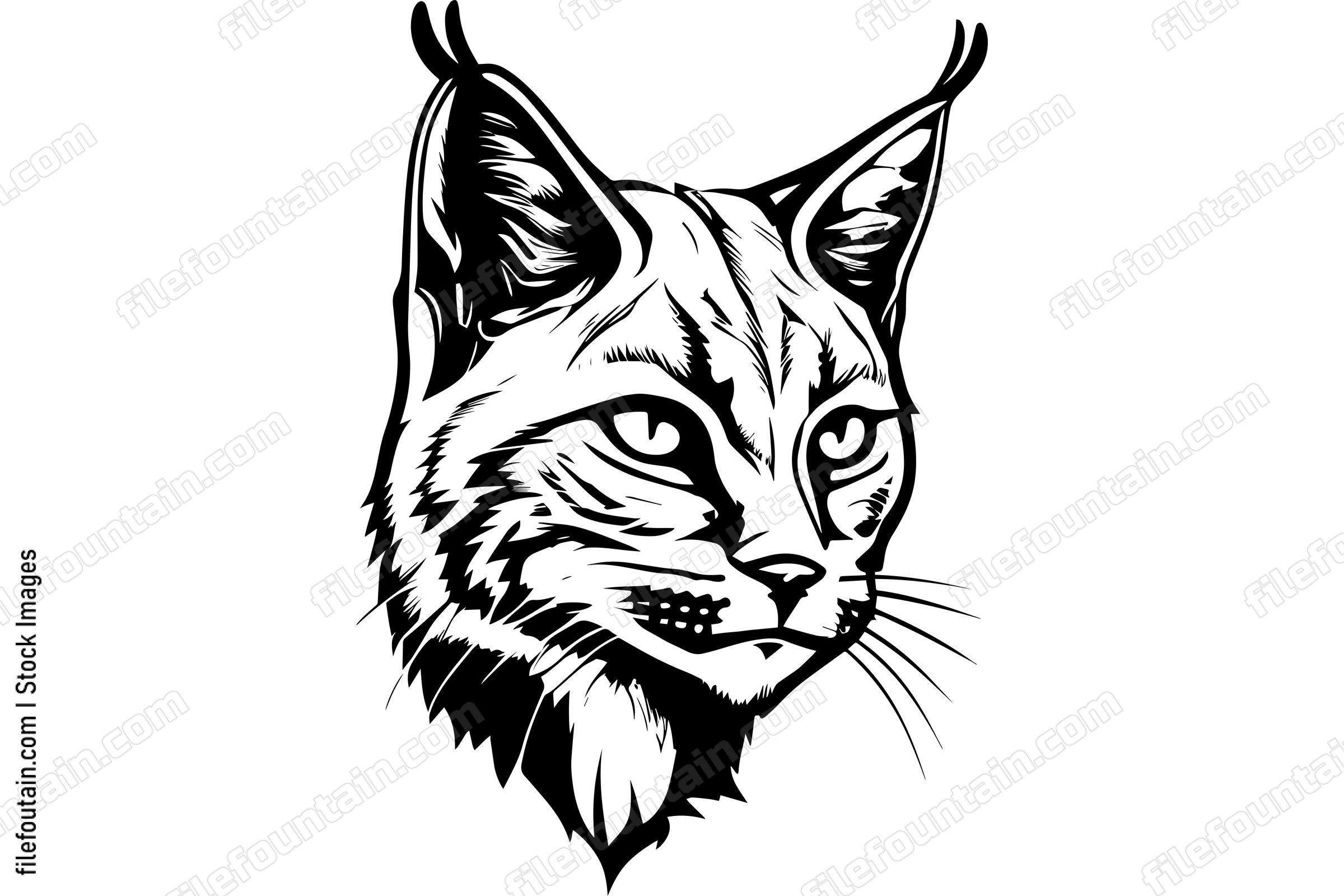 Bobcat