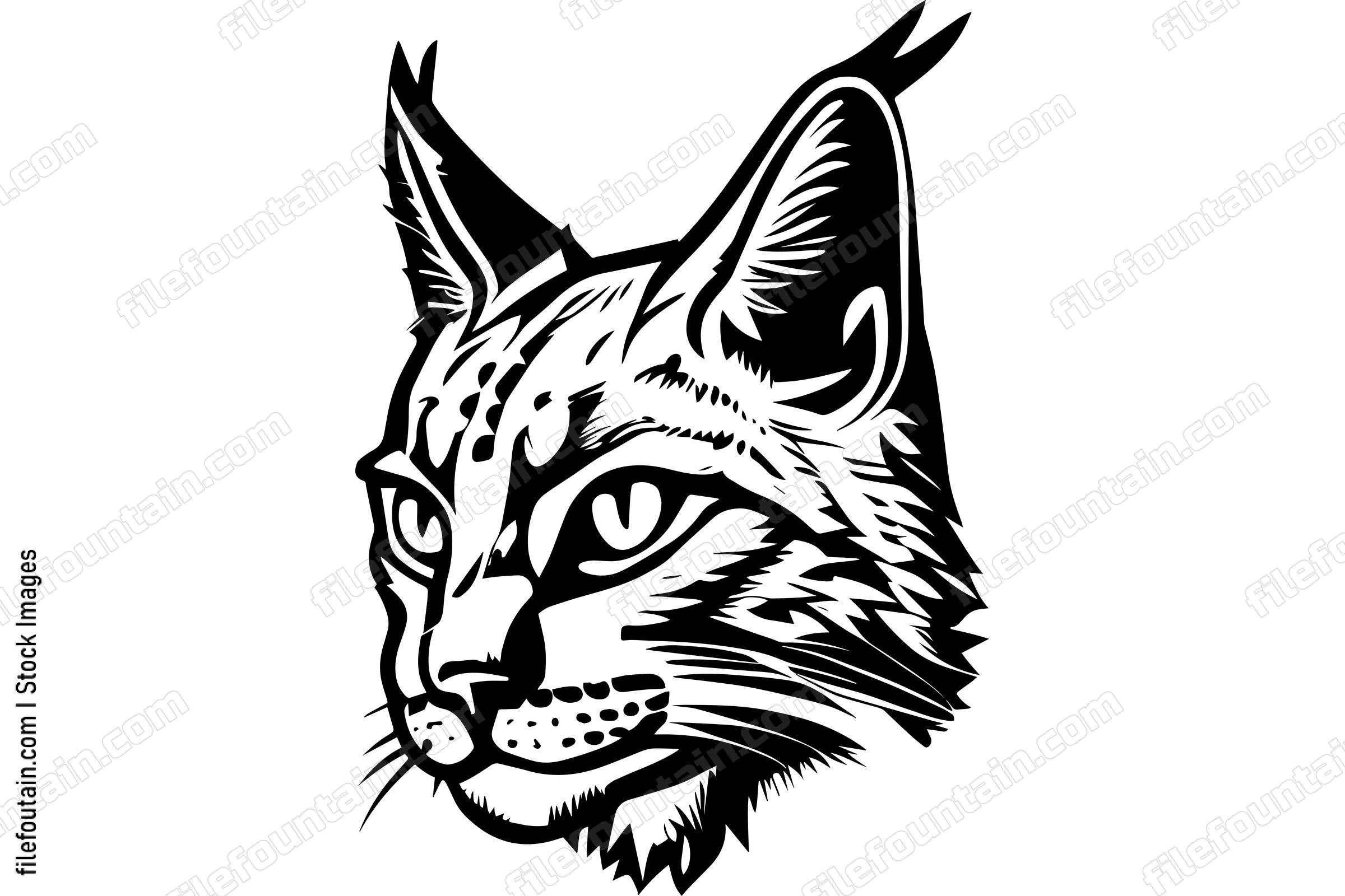 Bobcat
