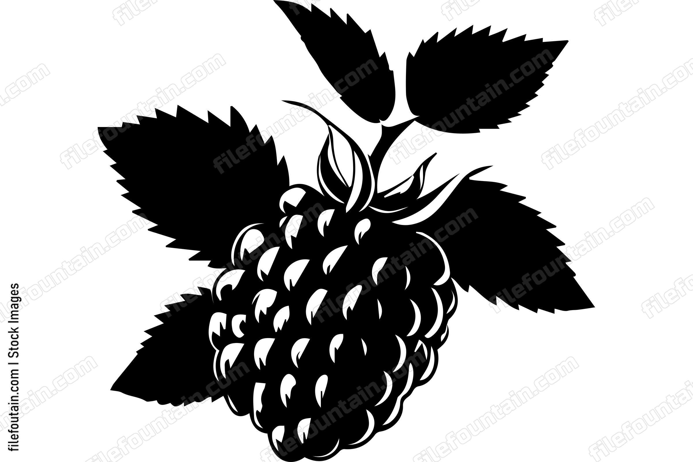 Boysenberry