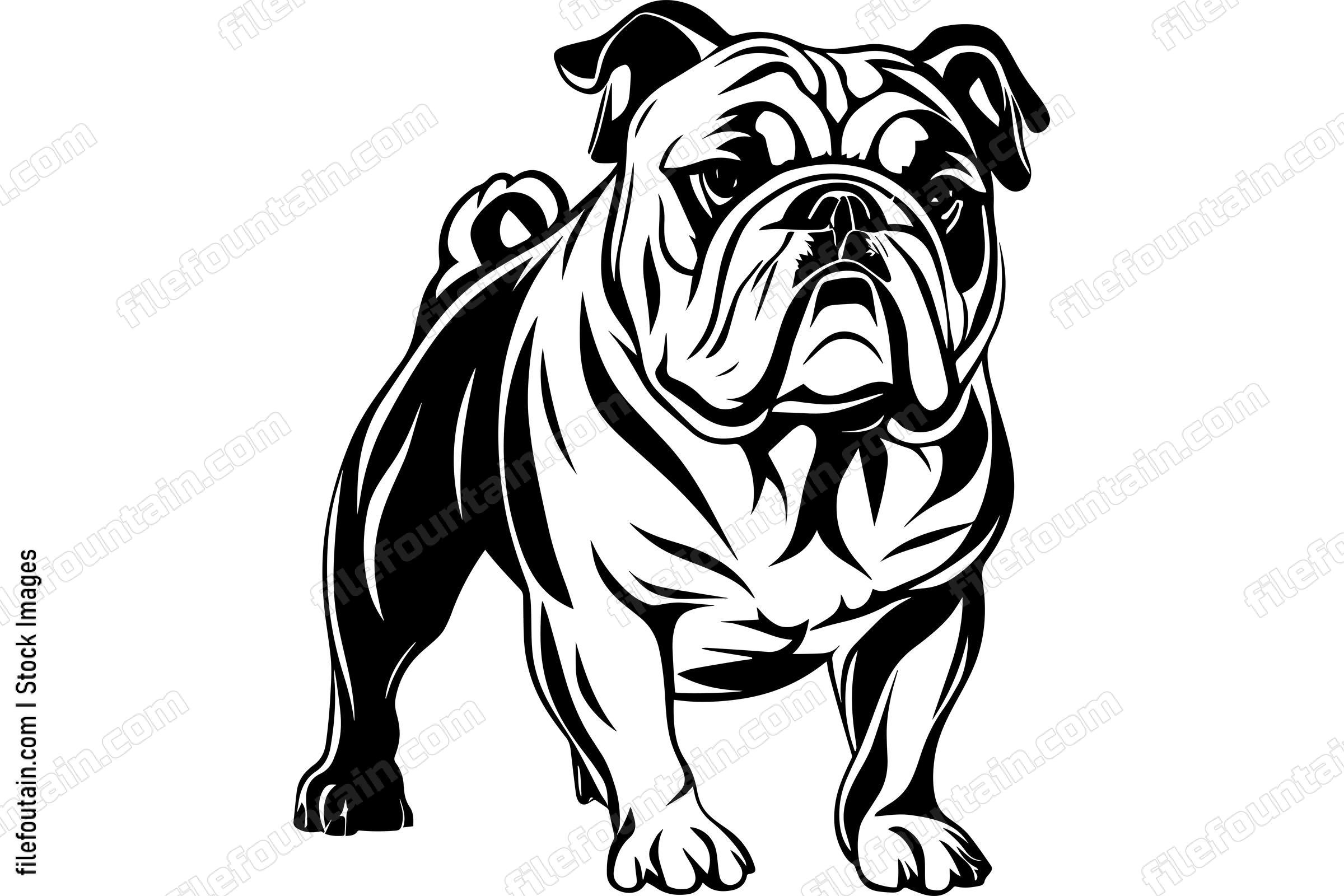 Bulldog