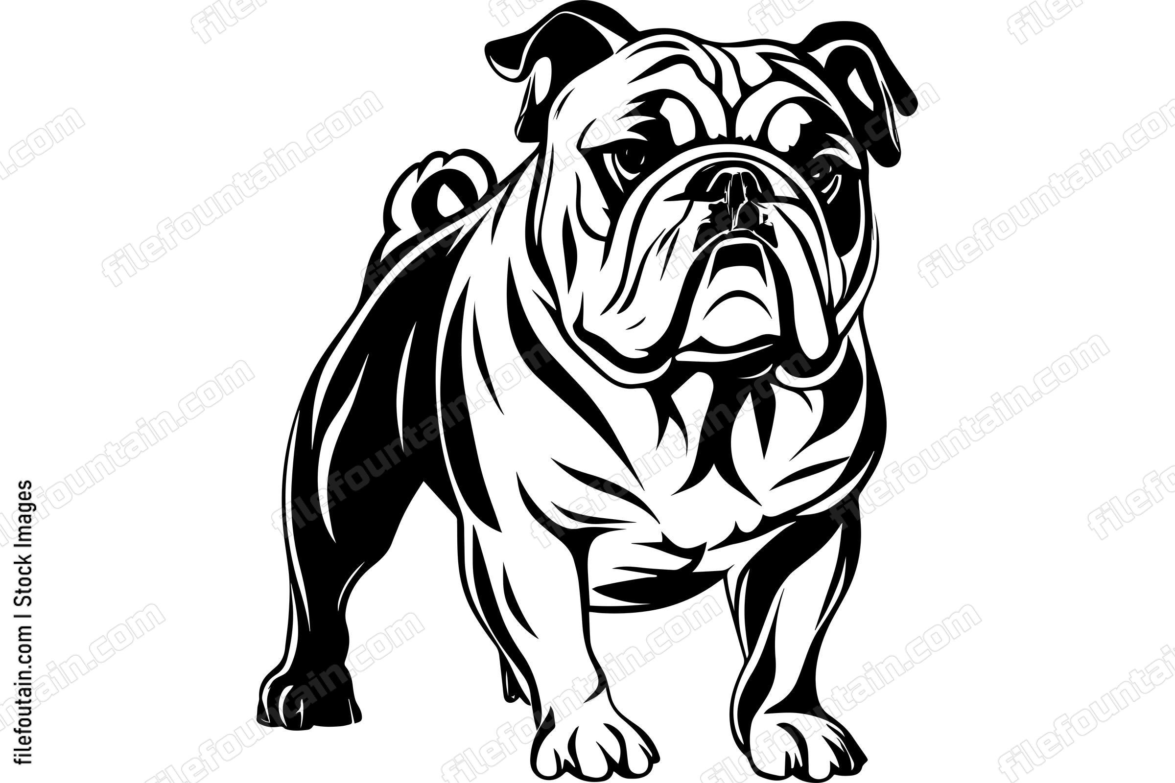 Bulldog