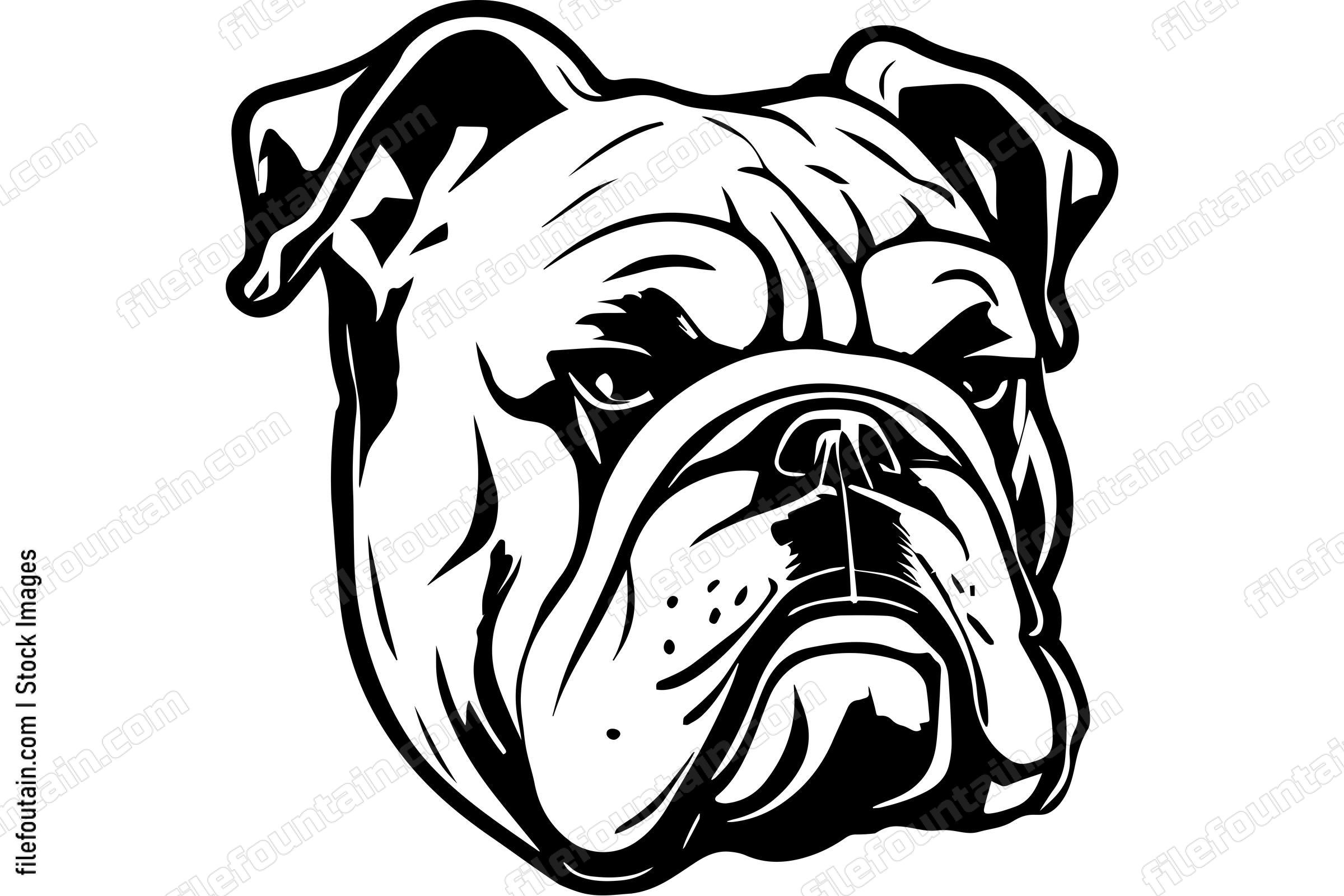 Bulldog