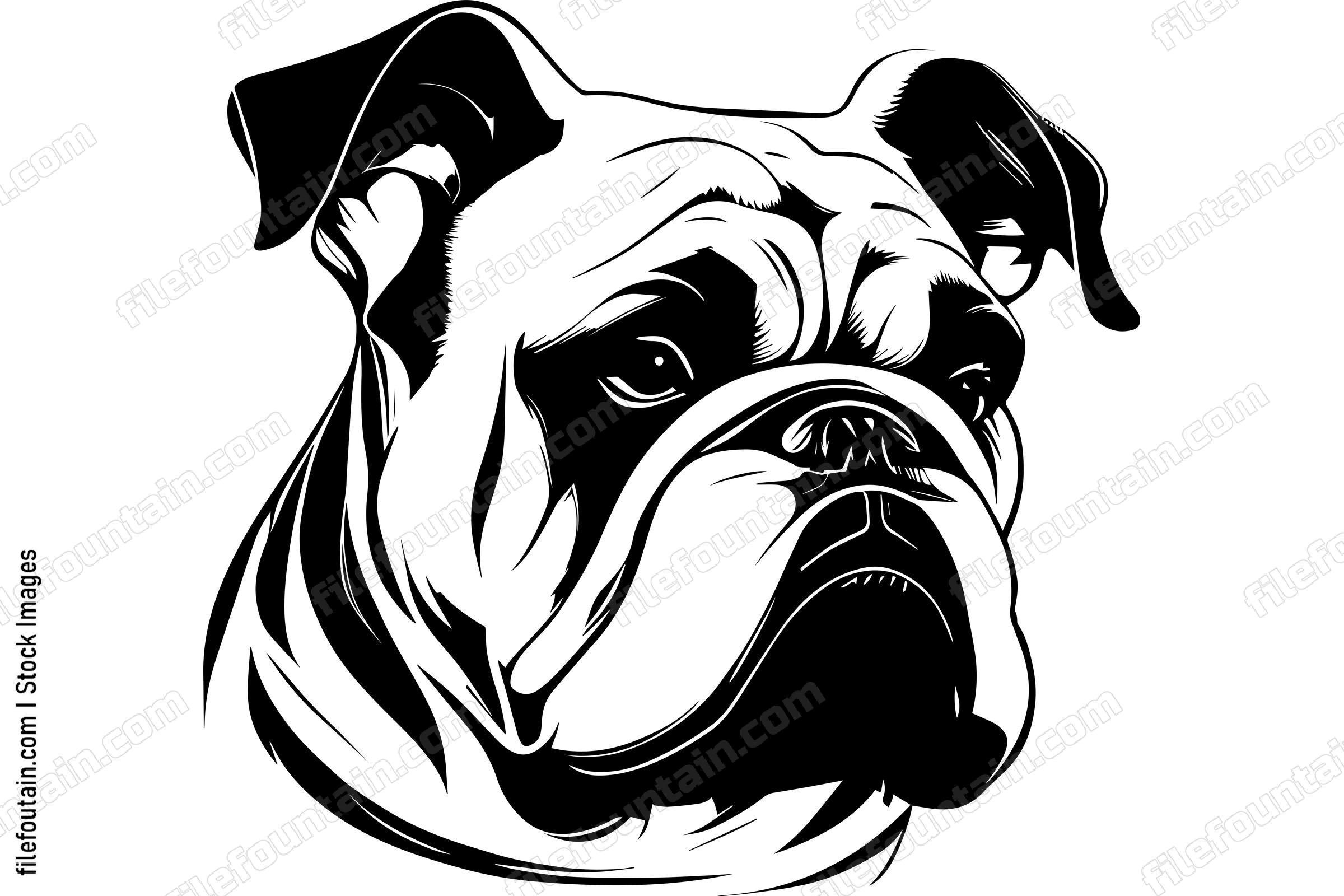 Bulldog