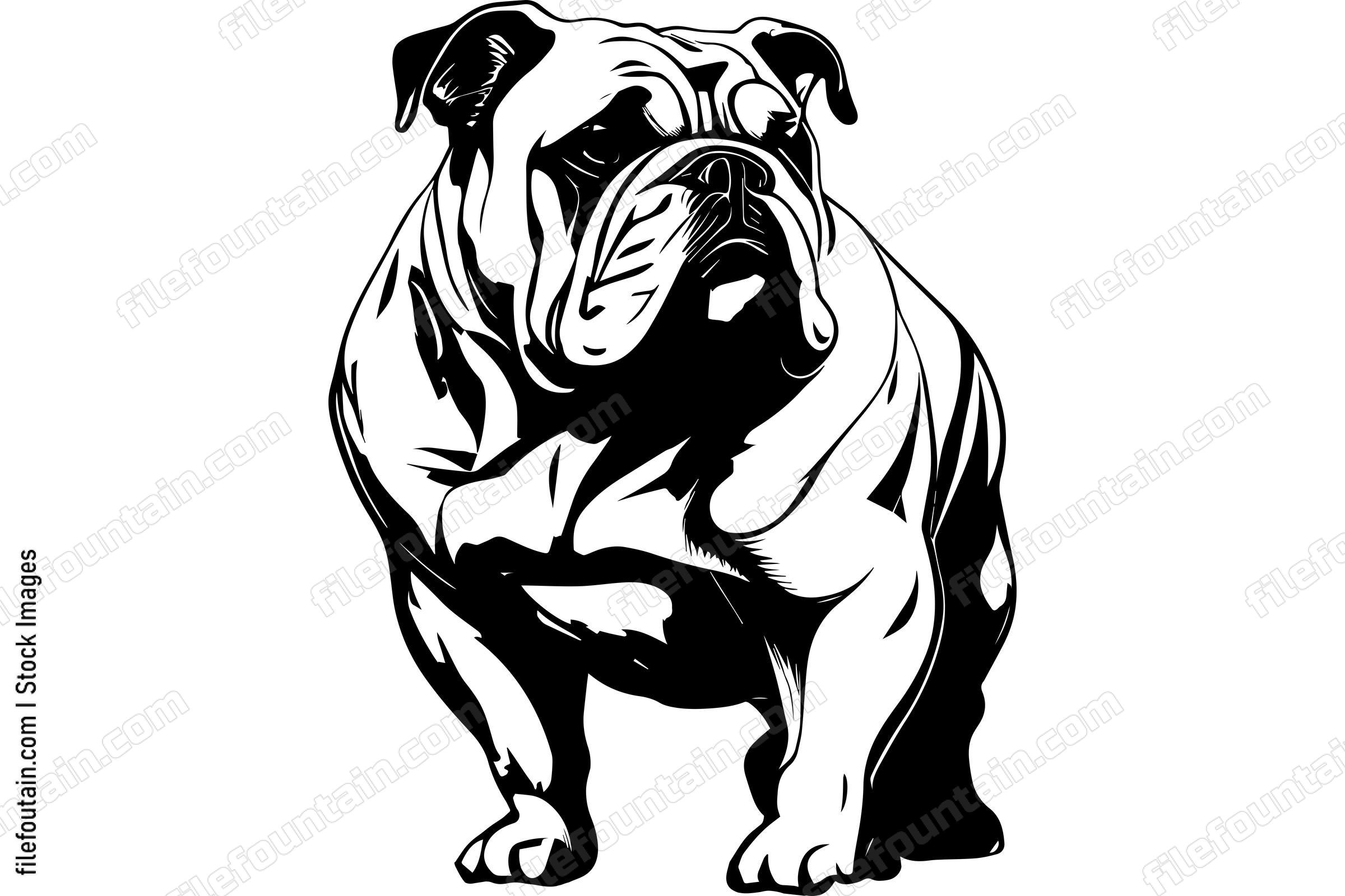 Bulldog