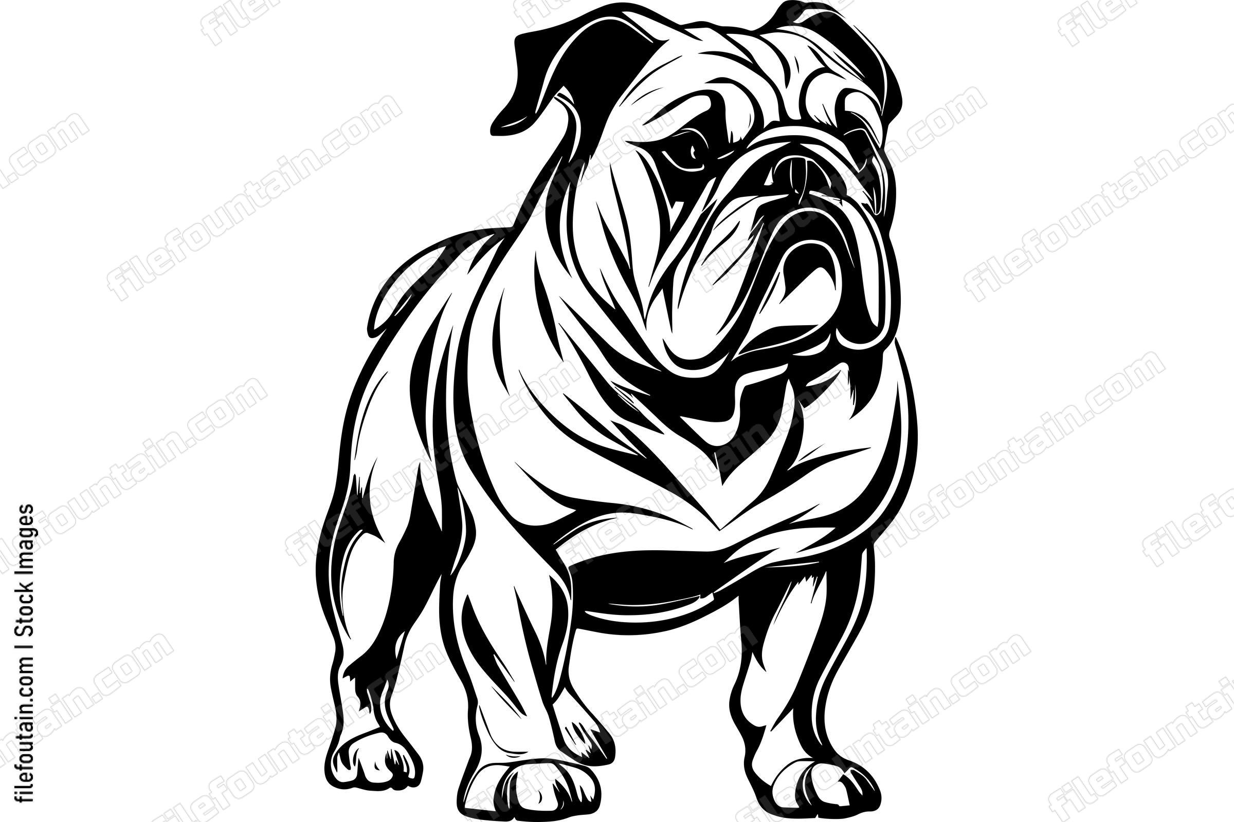 Bulldog