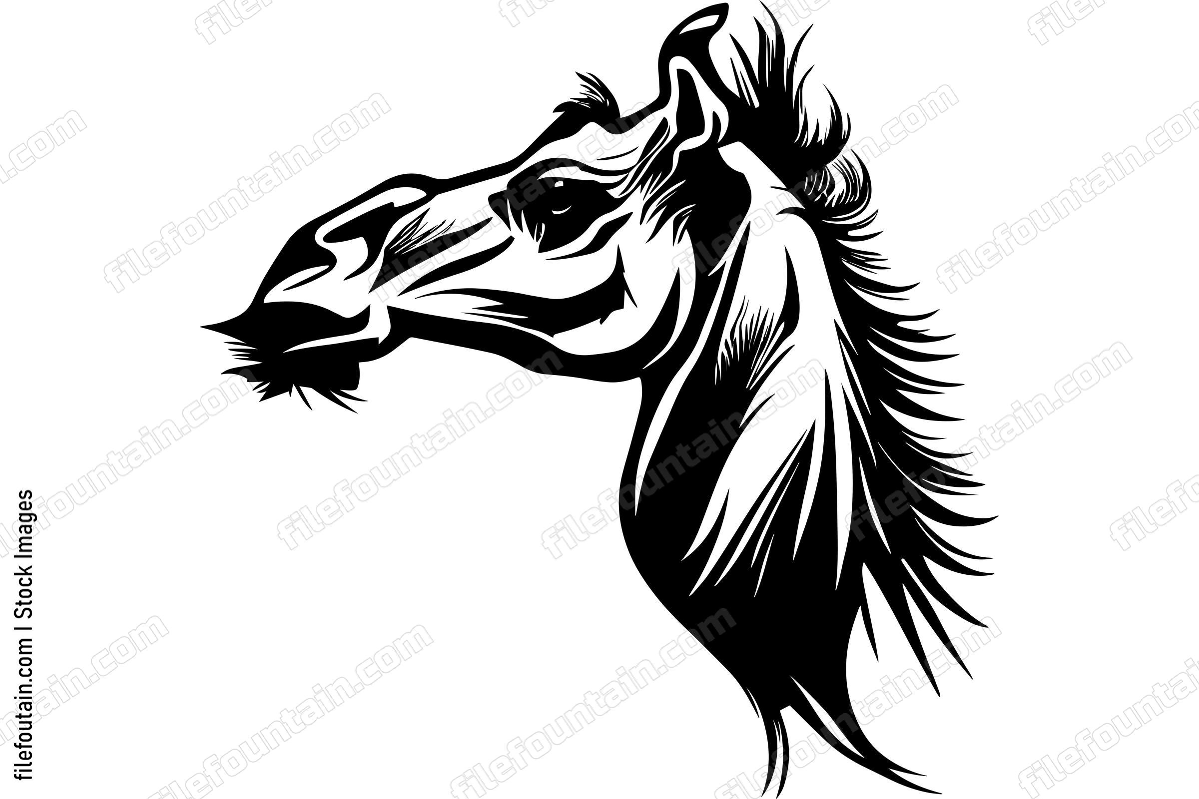 Camel