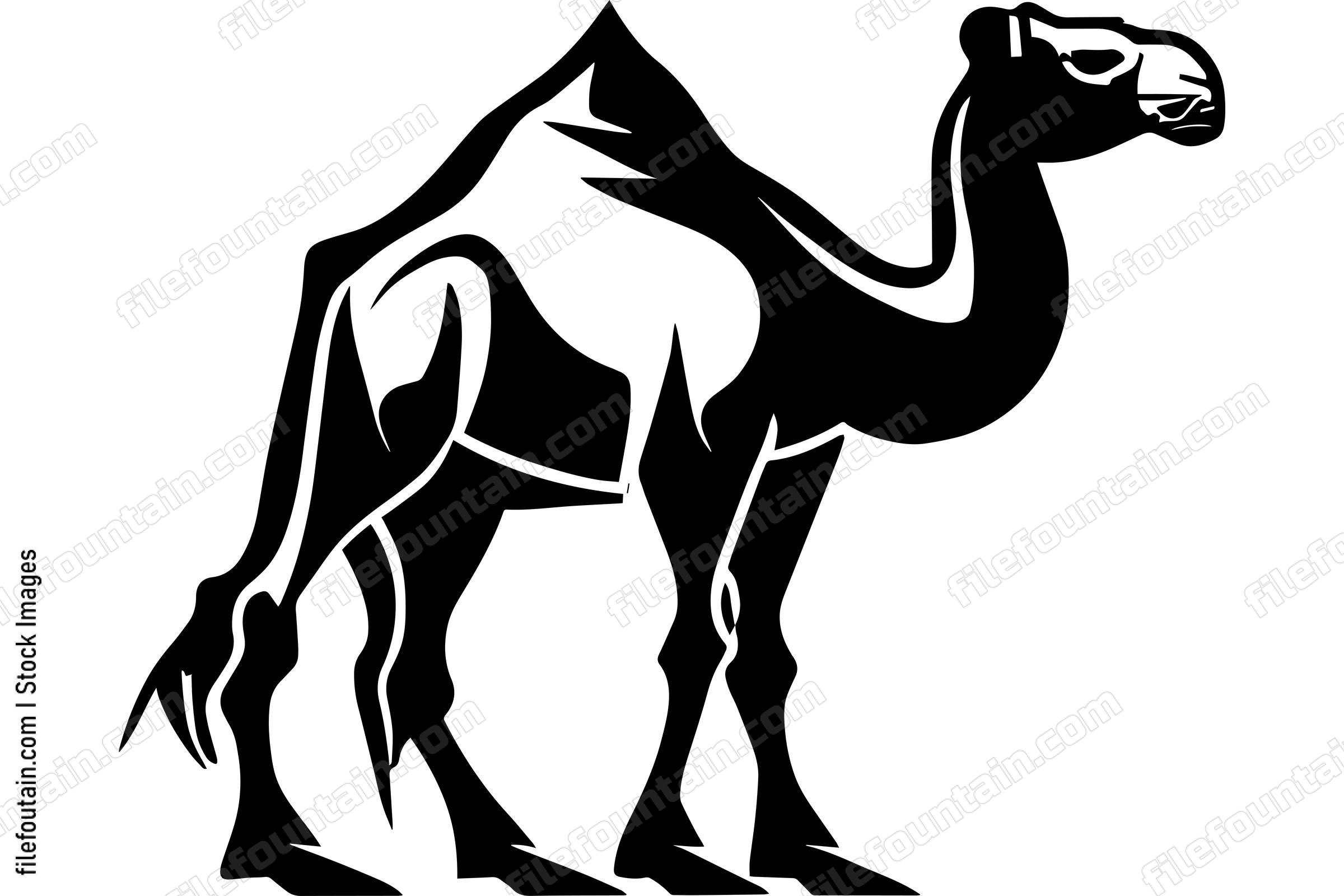 Camel