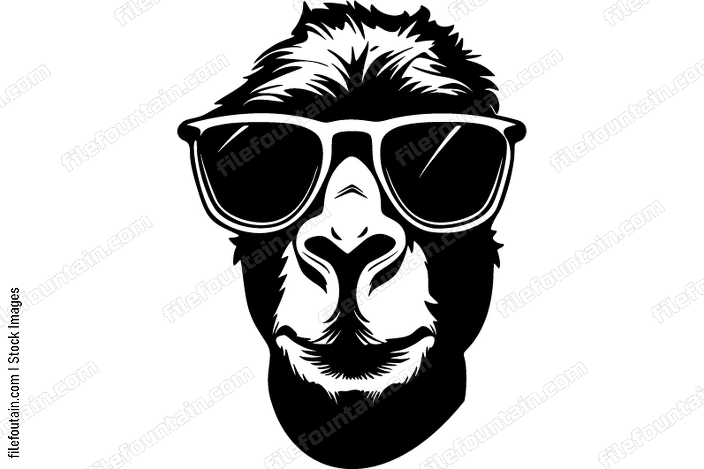 Camel With Sunglasses
