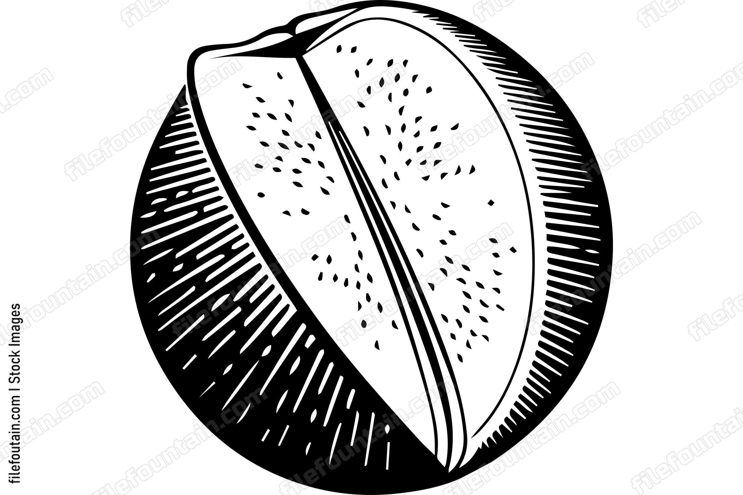 Cantaloupe