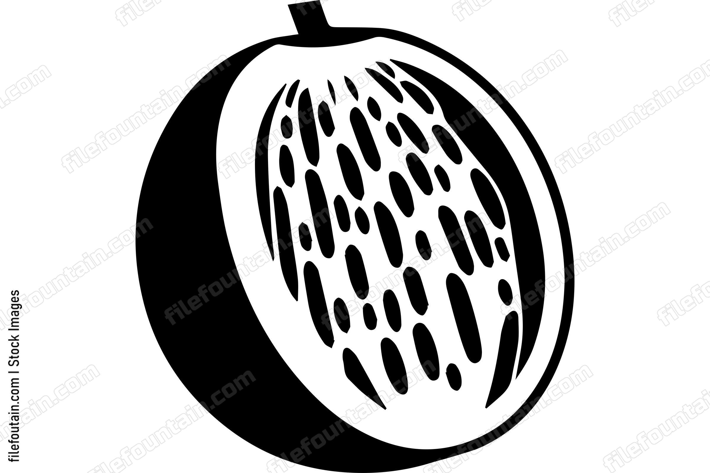 Cantaloupe