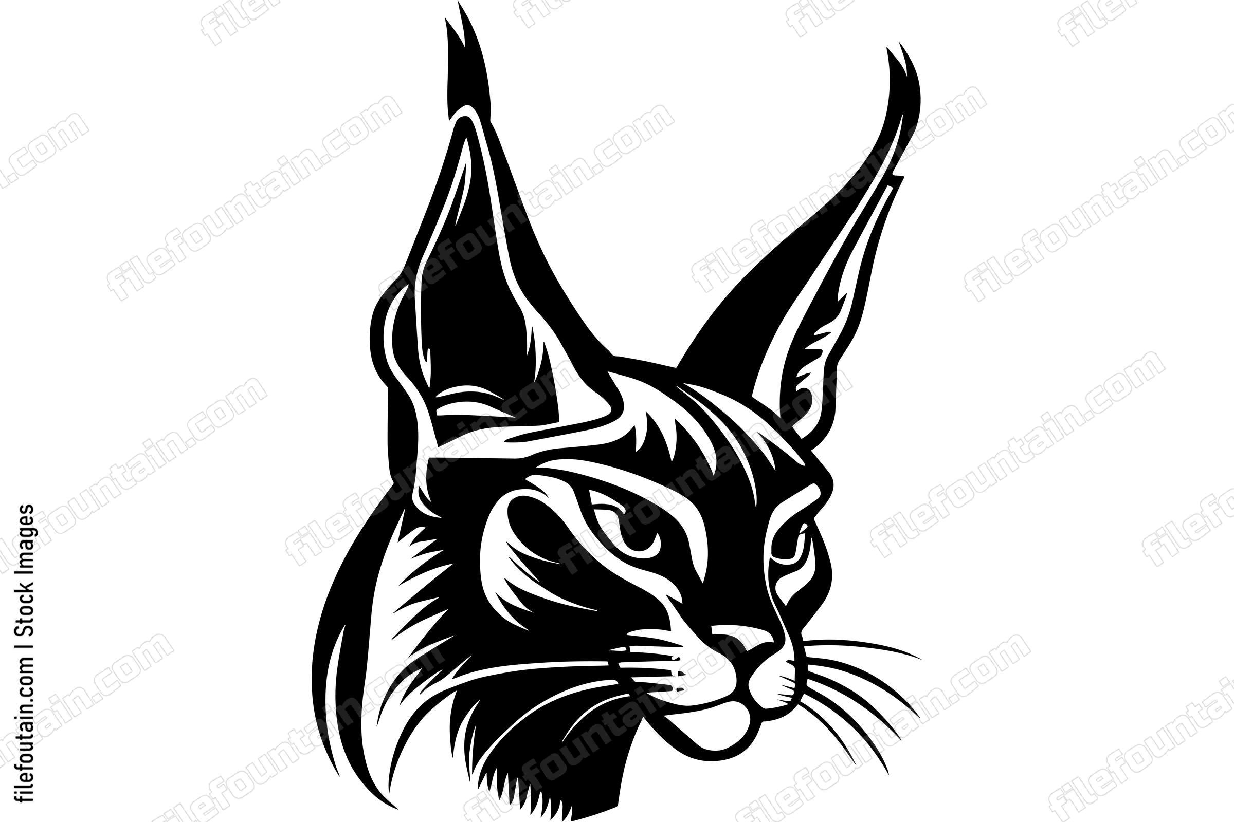Caracal