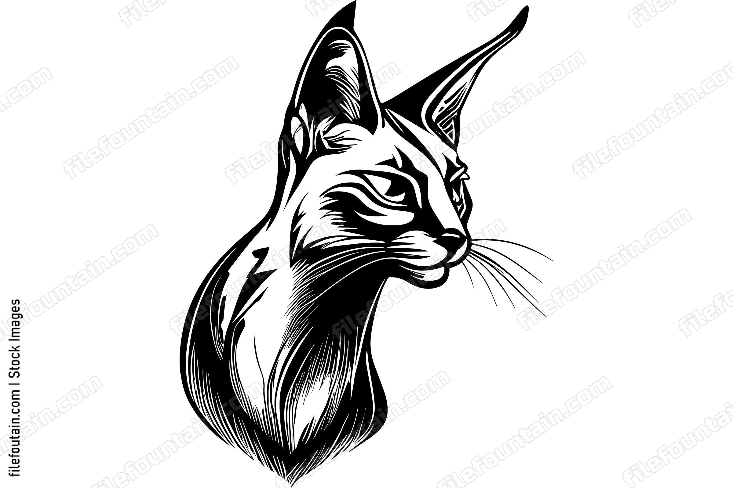 Caracal