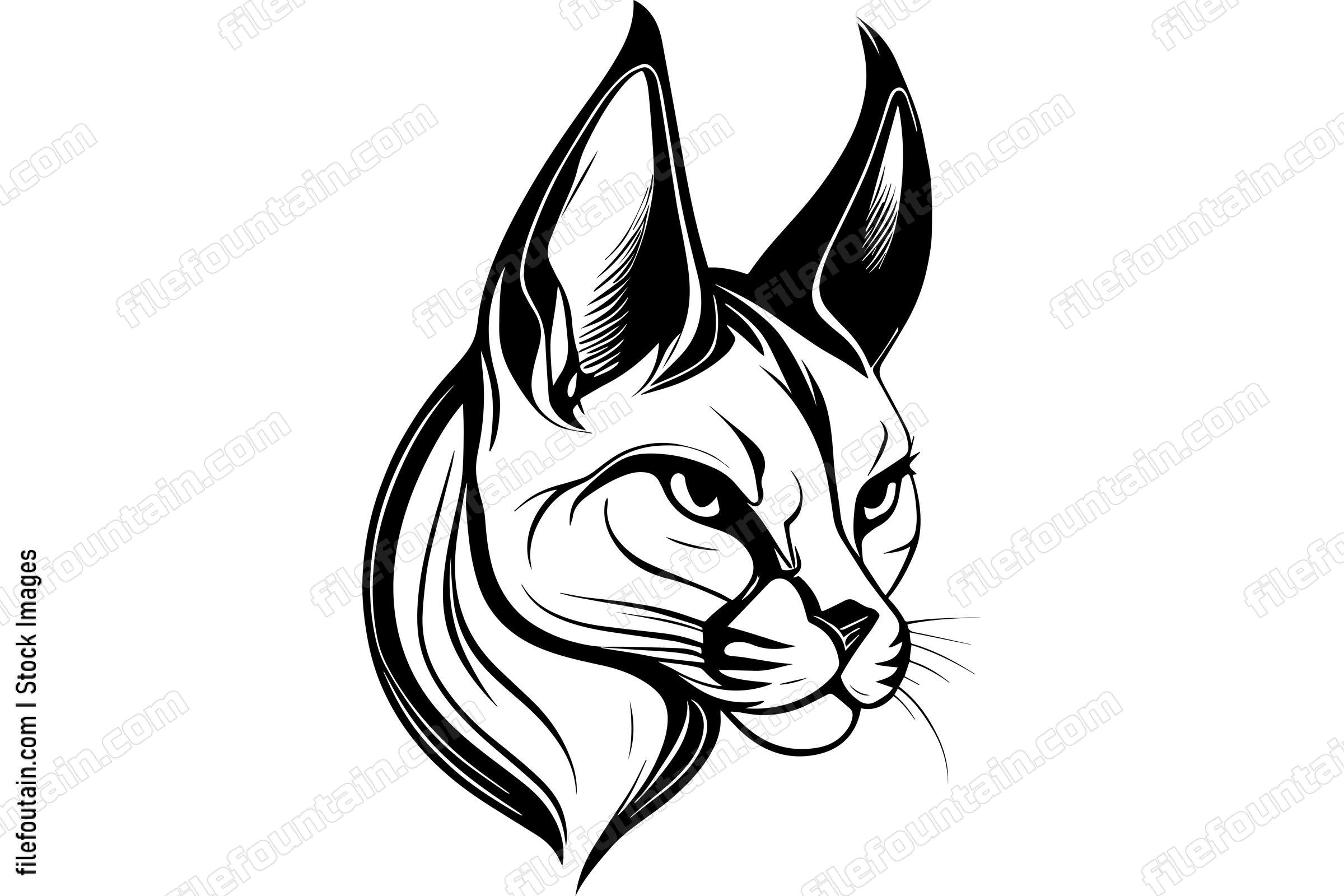 Caracal